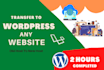 do backup, move,transfer or migrate wordpress website 30 min