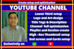 create and set up professional youtube channel with full optimization