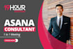 be your asana consultant, setup asana project management boards with automations