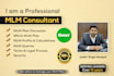 provide MLM plan consultancy over the skype