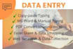 do fastest data entry in one day