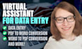 be your virtual assistant for data entry