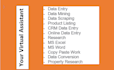 do data entry, copy paste job