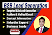 provide targeted b2b lead generation and valid email