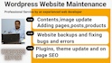 do wordpress help support and wordpress website maintenance