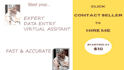 do accurate typing, data entry, copy paste, and web research