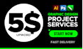 do professional graphic design project services