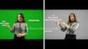 remove the green screen background from the video or photo