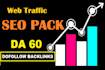 provide USA web traffic for business campaign with real web visitors