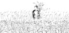 illustrate anything for you using line art