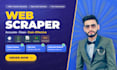 do custom python web scraping, data mining, and web automation