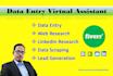 do reliable data entry and web research