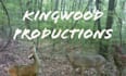 edit your professional hunting video