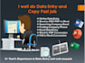 do data entry and web search