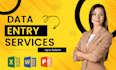 be your data entry operator in excel spreadsheet