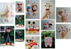make amigurumi or plush toy for you