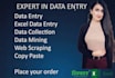 do excel and google sheet data entry,copy paste,pdf to excel