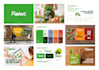 design eyecatching logo or brand