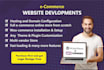 build fast loading ecommerce website for your services
