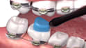 make high quality 3d medical animation