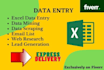 do fast excel data entry and web research in one day