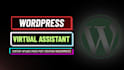be virtual assistant for wordpress, data entry and data cleaning