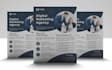 design creative flyer, professional tri fold and bi fold brochure