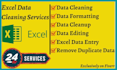 do excel data cleaning, data formatting and cleaning