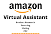 be virtual assistant amazon dropshipping