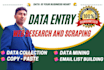 be your professional data entry operator