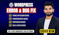 fix wordpress issues, bugs, errors, SEO, speed, woocommerce