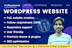 create professional wordpress site, redesign website, build website, elementor