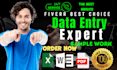 do data entry, web research, and lead generation in excel and google sheets