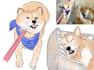 make cute and ugly illustration for pet