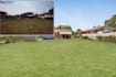replace grass, blue sky professionally fast turnaround