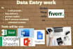 do data mining data entry copypaste data scraping