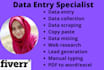 data entry, copy paste, web research, data collection