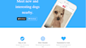 create beautiful web pages for you