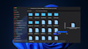 develop desktop and webapps using wpf avalonia flutter