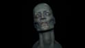 realistic or cel shaded 3d modelling