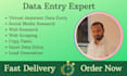 do web research, web scraping, copy paste, excel data entry