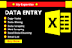 do excel data entry, web scraping, mining, email lists and VA services
