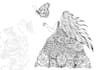 draw coloring book pages or books for adults