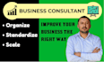 be your business consultant, coach for improvement