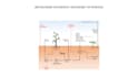 do data analysis and visualization