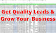 provide targeted b2b lead generation services