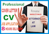 write professional resume and cover letter