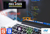 develop a custom website for you in  asp net mvc