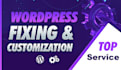 do website customization and fixing