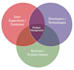 define product roadmaps and requirements